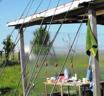 Greaca 9-11 mai Cupa Tarom ed.a 6-a - 17.jpg